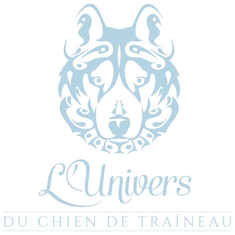 Évoquer l'univers du chien de traîneau